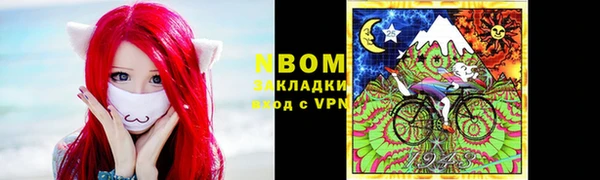хмурый Алексин