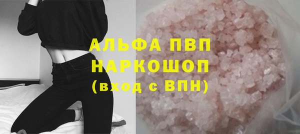 хмурый Алексин