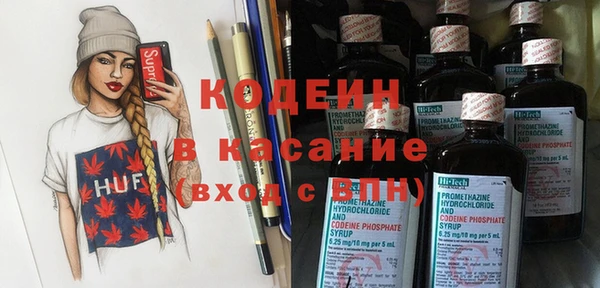 хмурый Алексин
