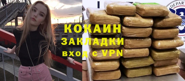хмурый Алексин