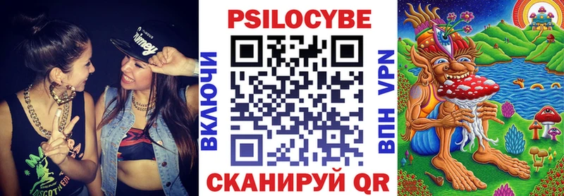сколько стоит Рошаль Галлюциногенные грибы Psilocybine cubensis
